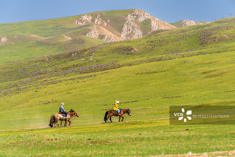 中国新疆巴音郭楞巴音布鲁克草原图片素材