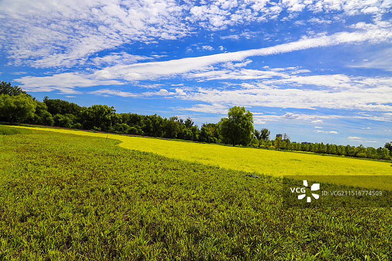 亚洲中国北京海淀扇面湖（前湖）园林景观图片素材