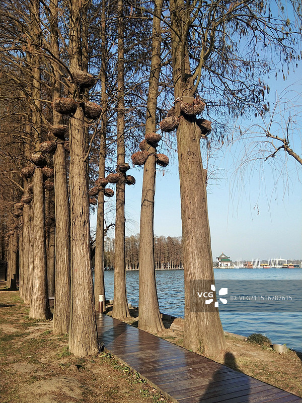 武汉东湖风景区湖景风光图片素材