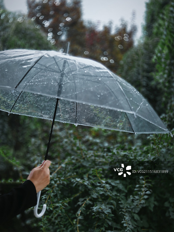 伞下故事图片素材