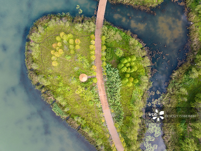 清晨晴天 城市公园生态环境优美 湖中小岛森林 骑行道步行道 航拍鸟瞰视角图片素材