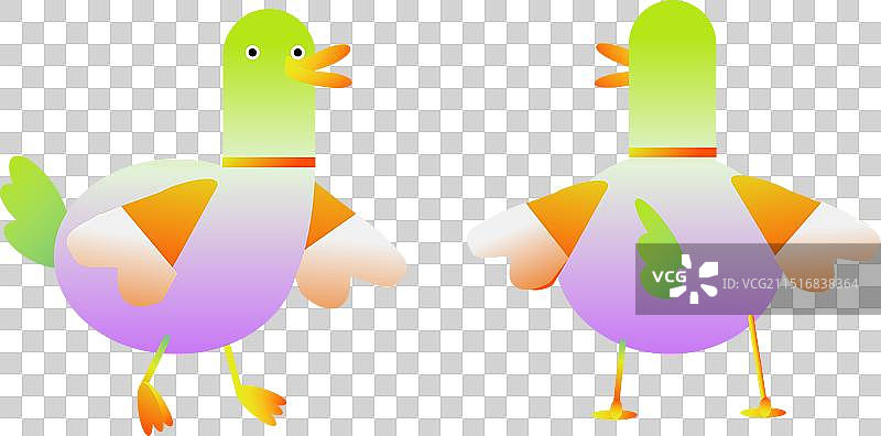 彩色可爱鸭子正面背面双视图图片素材