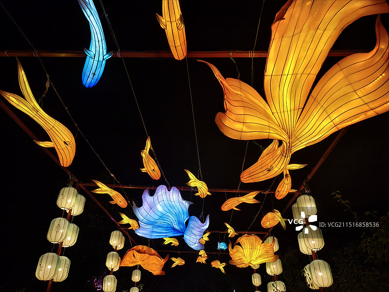 荣氏梅园——大鱼花灯图片素材