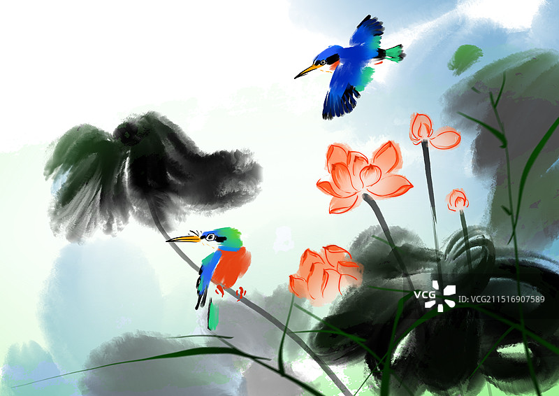 画画，荷花，翠鸟，保护动物，鸟，图片素材