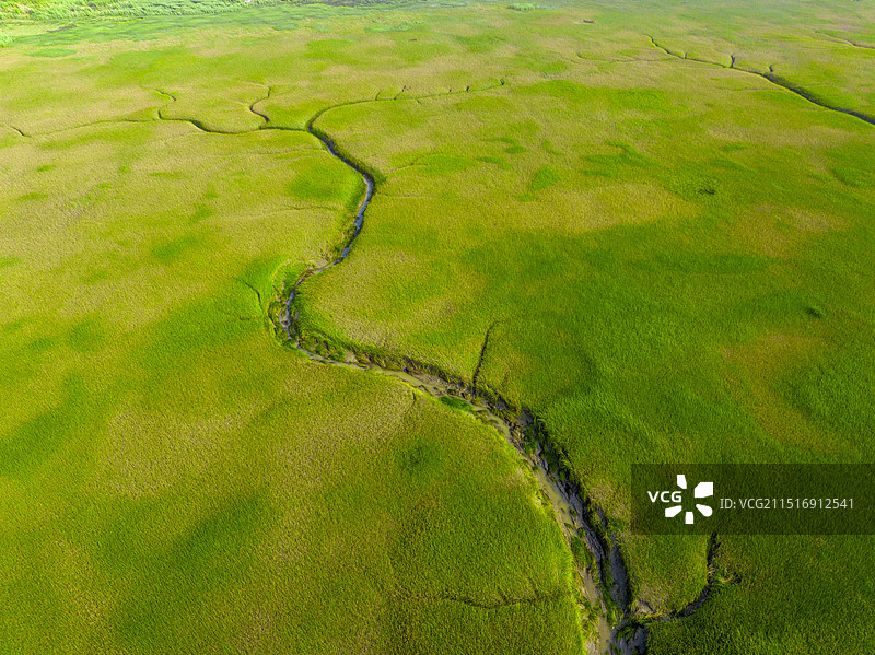 浙江嘉兴海宁滩涂航拍图图片素材