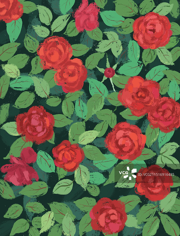 插画｜玫瑰花语图片素材