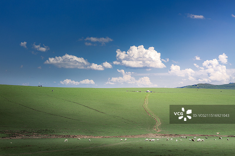 贡格尔草原风光图片素材