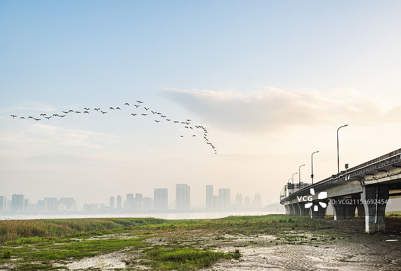 温州  温州城市风光  温州市区  温州瓯越大桥 桥墩图片素材