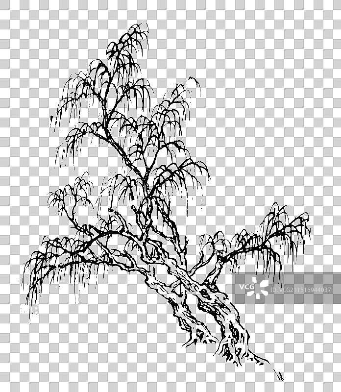 秋天，柳树，线描，黑白，中国风，古典风格，插画，设计，元素图片素材