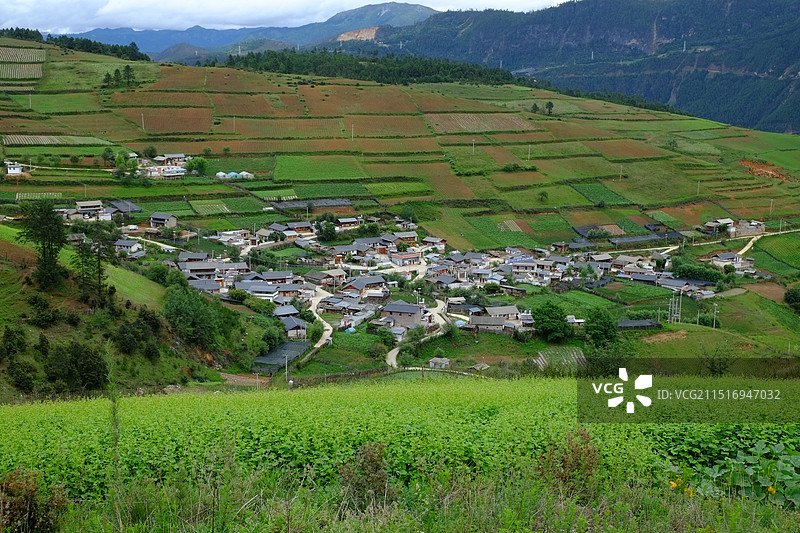 置身世外桃源版的小村庄和远处的哈巴雪山图片素材