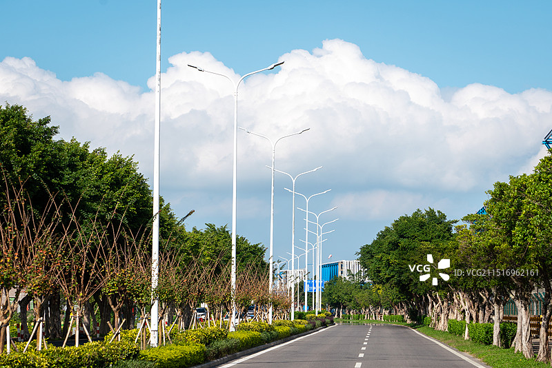 蓝天白云下的城市道路和路灯图片素材