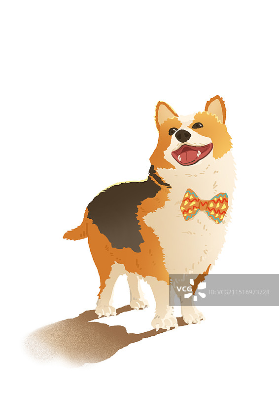 可可爱爱的小狗图片素材