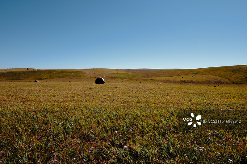 秋田的呼伦贝尔图片素材