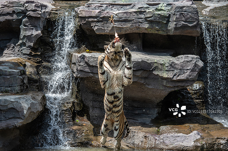 宁波雅戈尔动物园图片素材