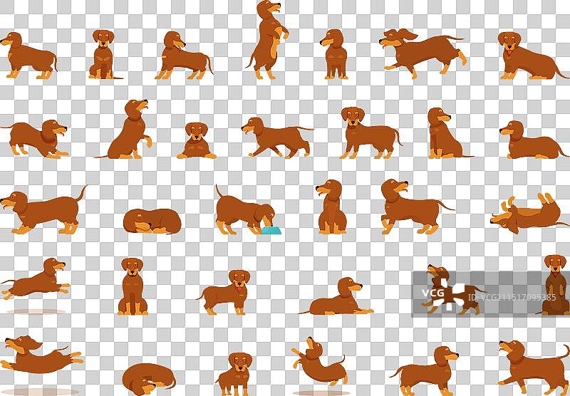 腊肠犬图标卡通动物套装图片素材