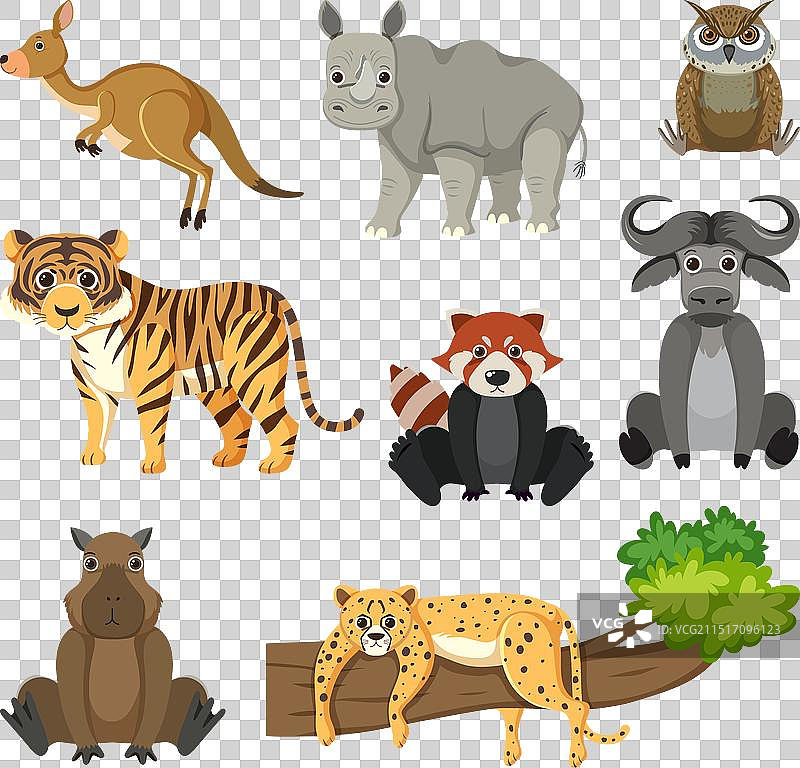 卡通风格的野生动物图片素材