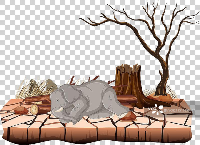森林砍伐对大象的破坏性影响图片素材