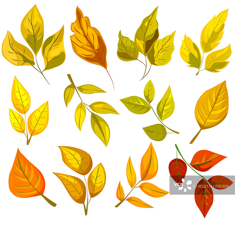 各种形状的彩色秋叶图片素材