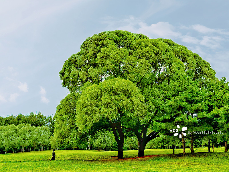 北京朝阳公园图片素材