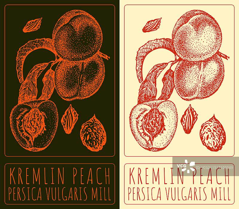 手绘克里姆林宫图片素材