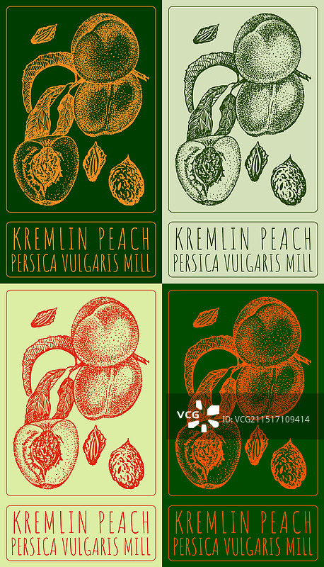 各种颜色的克里姆林宫绘画合集图片素材