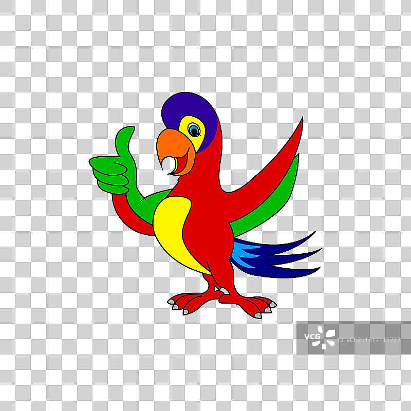飞行中的彩色鹦鹉图片素材