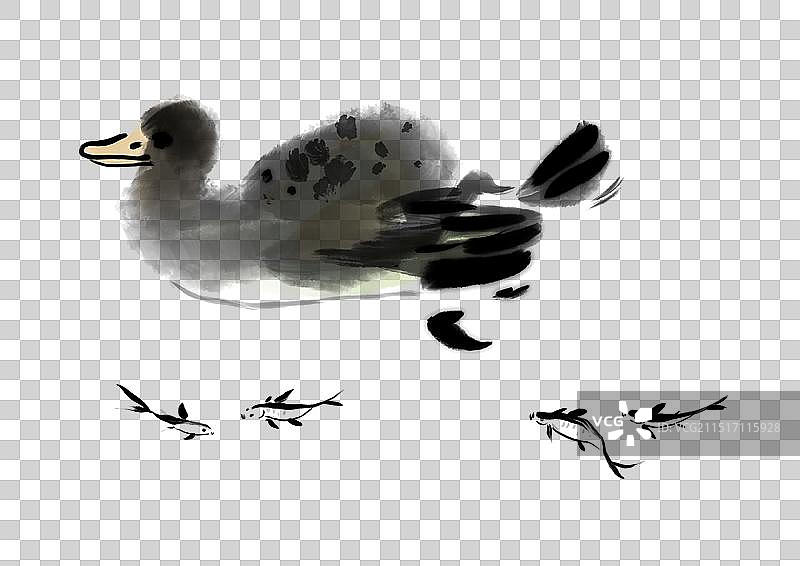 鸭子，禽，鸟，鱼，水，湖泊，水墨漫画设计中国风元素图片素材