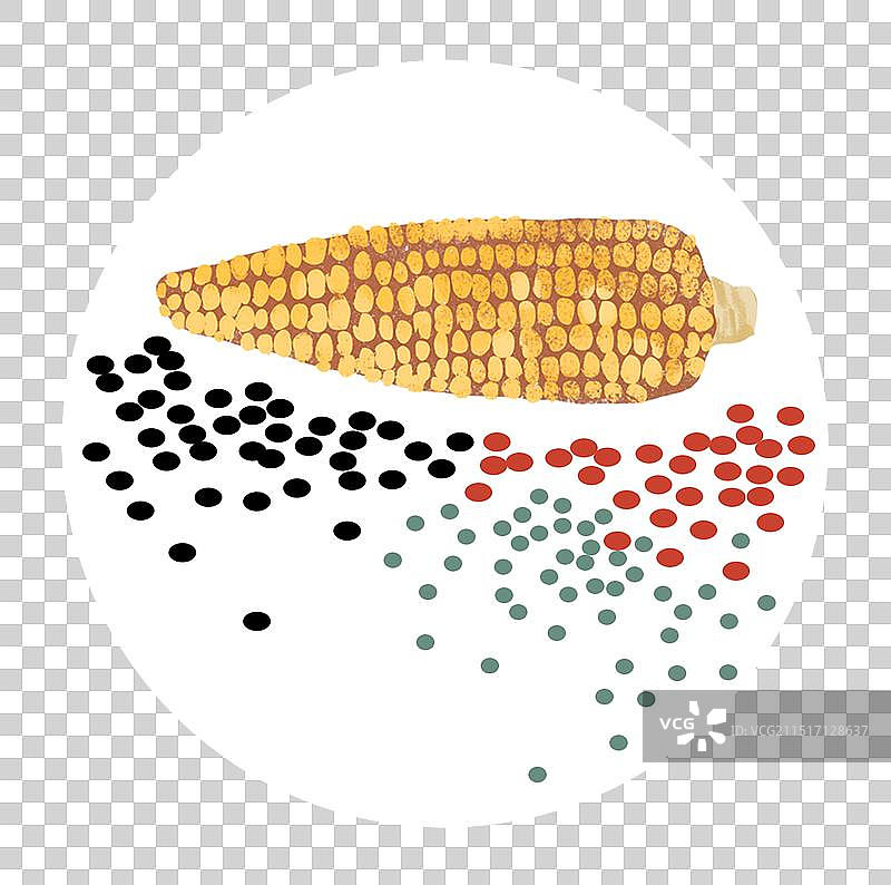健康饮食杂粮组合图片素材