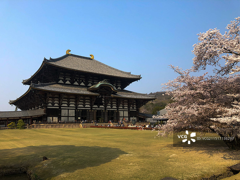 奈良东大寺图片素材