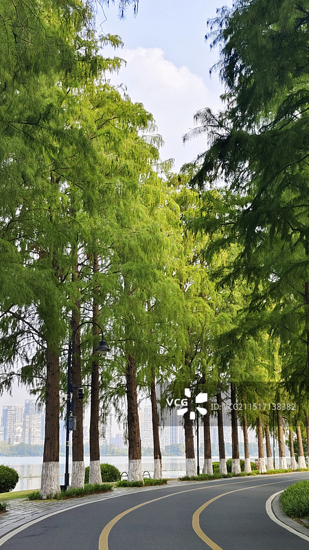 武汉东湖风景区 东湖绿道 骑行道路图片素材