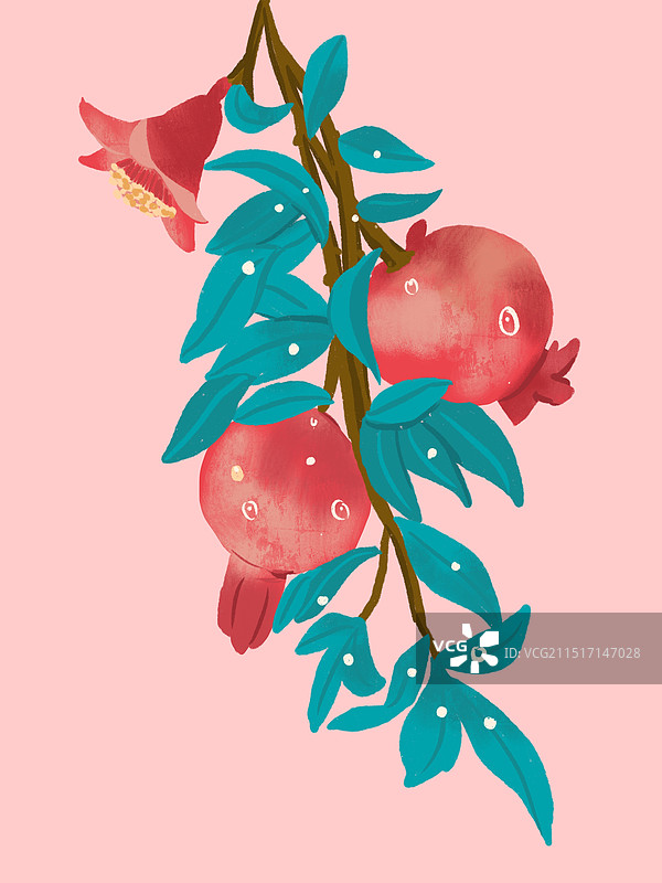 石榴图片素材