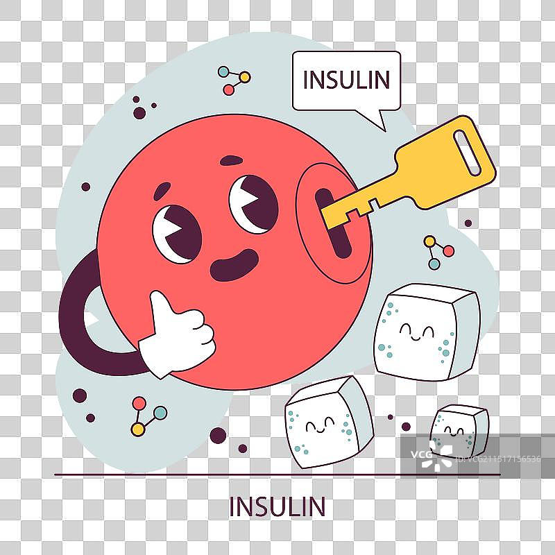 内分泌系统胰岛素功能胰腺图片素材