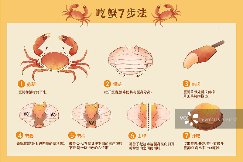 螃蟹分解步骤插画图图片素材