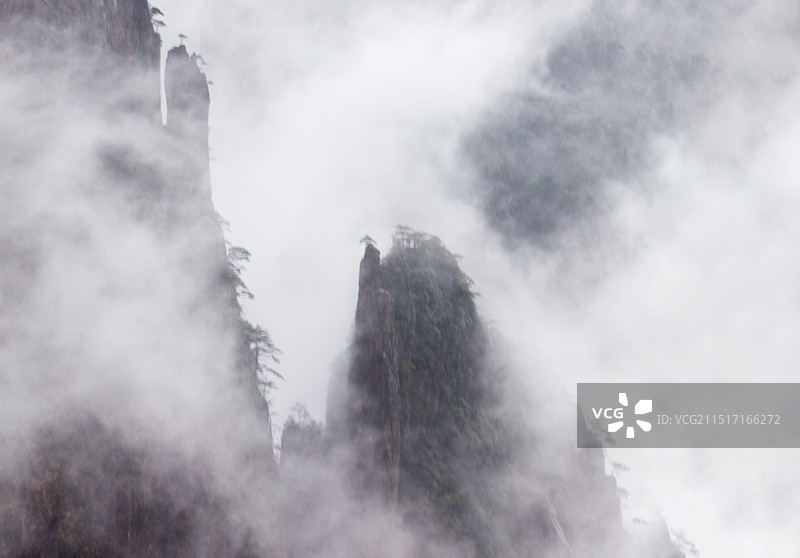 黄山  云雾中的山峰图片素材