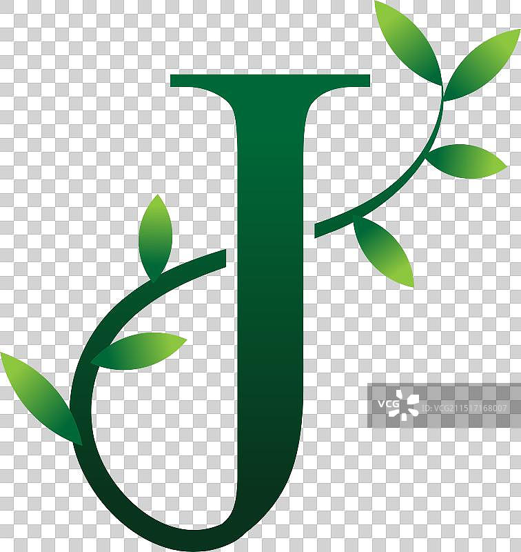 J 字母标志绿色树叶风格图片素材