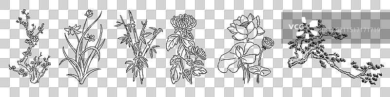 梅兰竹菊荷松（线稿画）图片素材