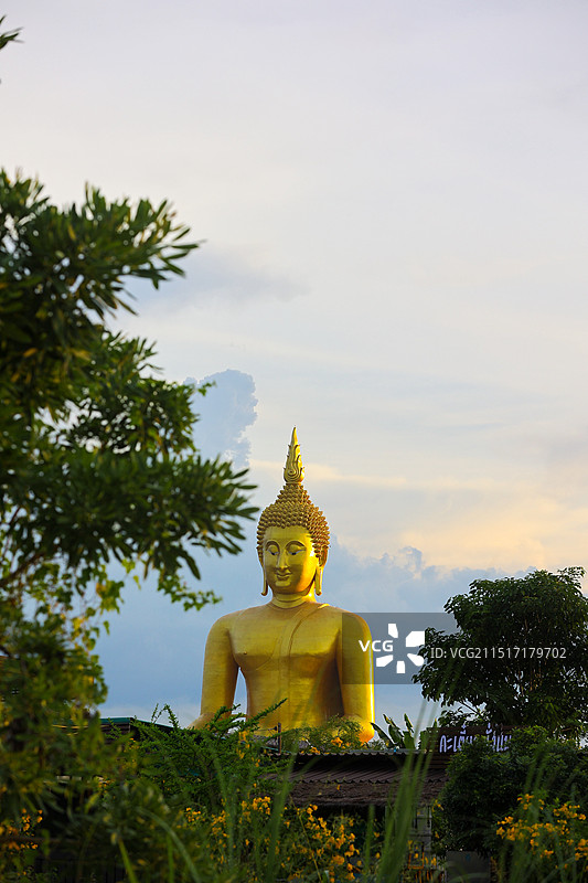 泰国红统府金色大佛WAT MUANG泰国最大的佛图片素材