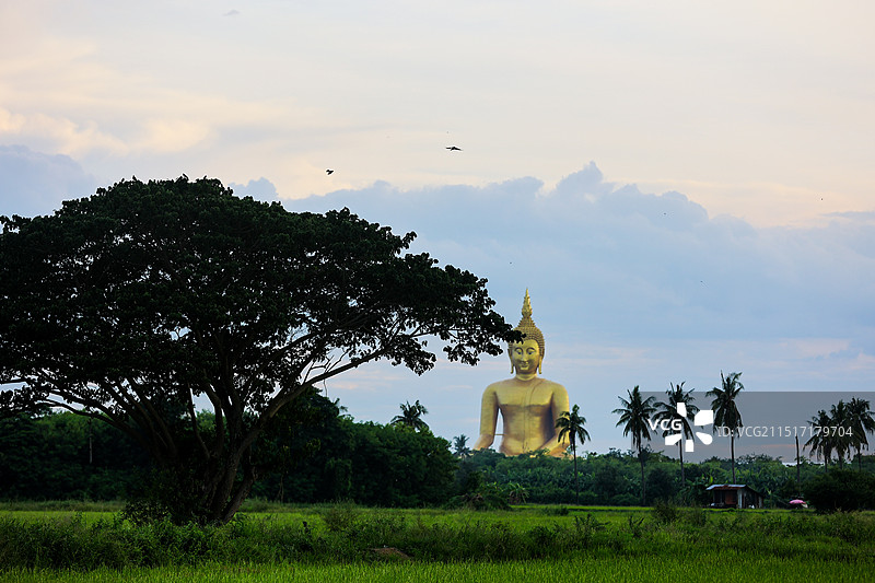 泰国红统府金色大佛WAT MUANG泰国最大的佛图片素材