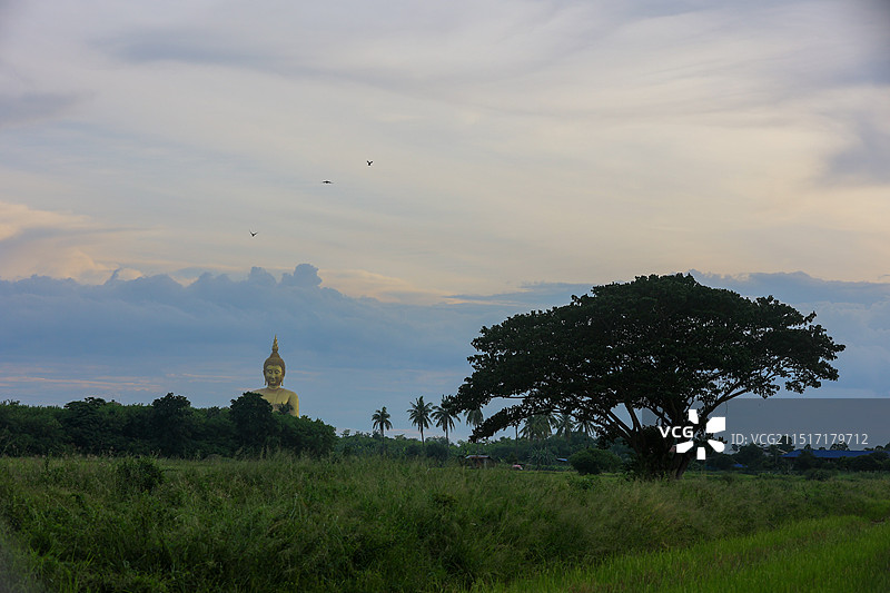 泰国红统府金色大佛WAT MUANG泰国最大的佛图片素材
