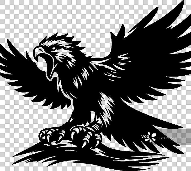 菲律宾鹰黑色设计图片素材