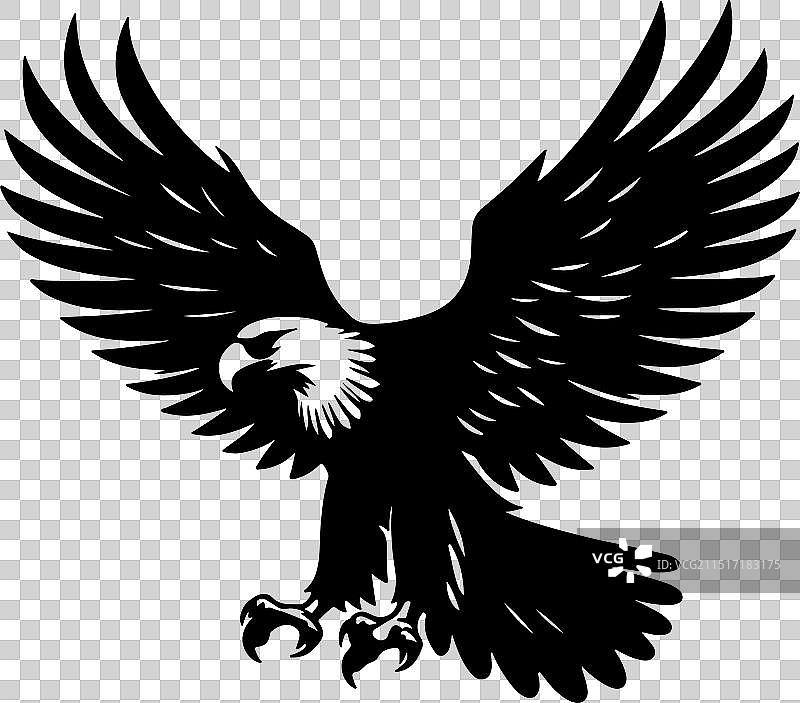 菲律宾鹰黑色设计图片素材