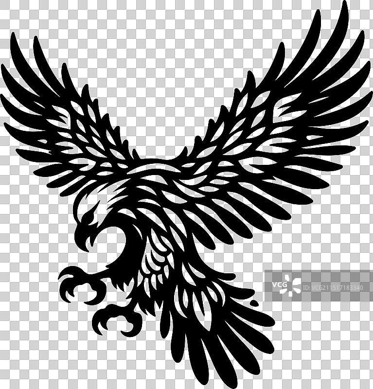 菲律宾鹰黑色设计图片素材