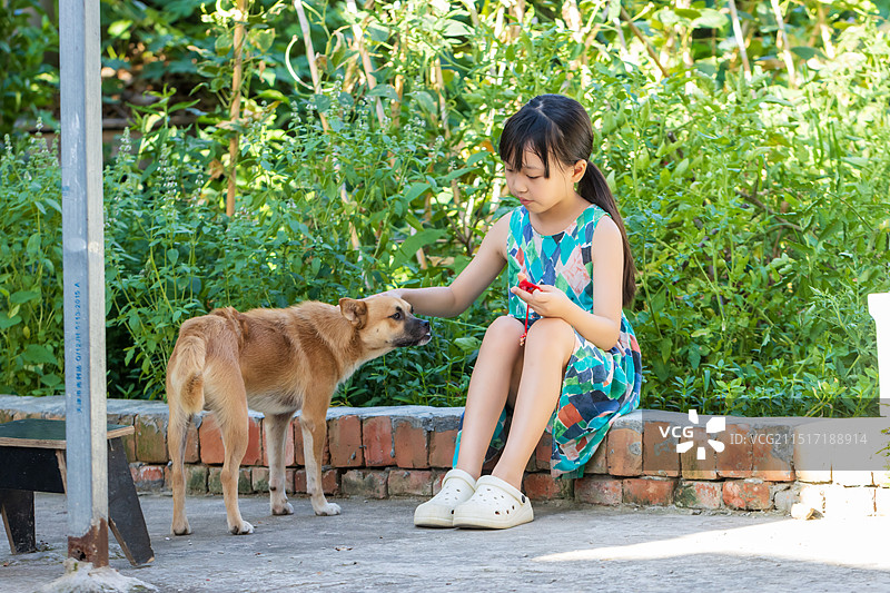 户外坐在地上喂小狗的小女孩图片素材