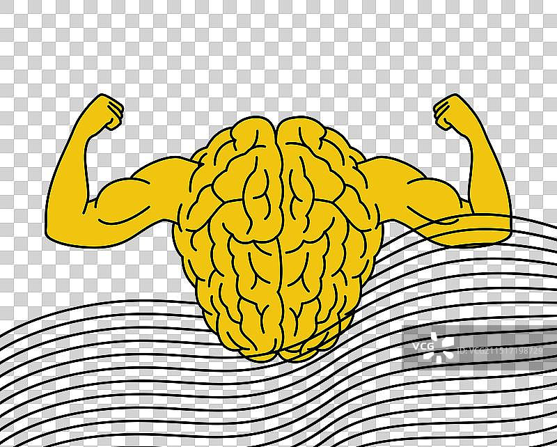 大脑健身图片素材