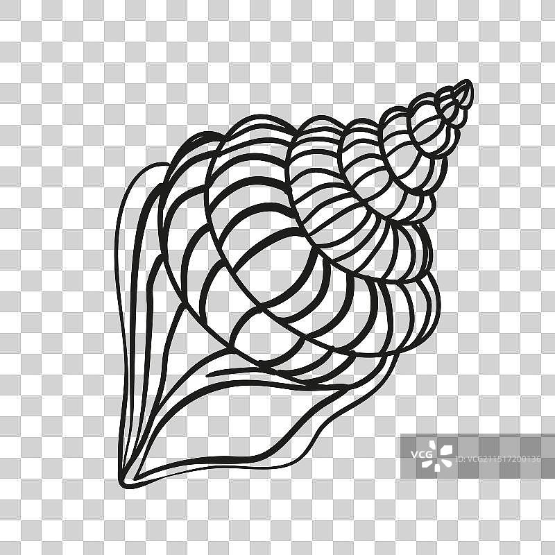 手绘海螺，已隔离图片素材