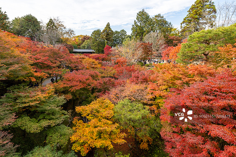 京都秋景图片素材