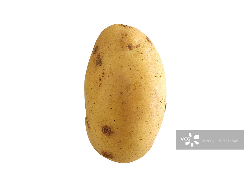 一个农作物蔬菜土豆马铃薯的白底图图片素材