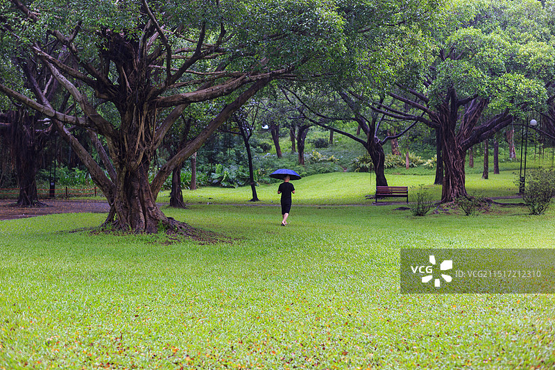 雨天的公园图片素材