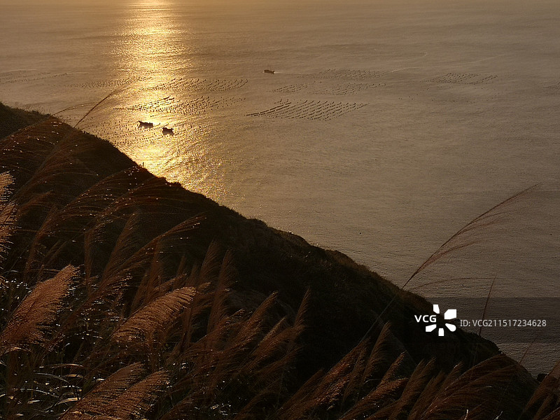 金色海岸图片素材