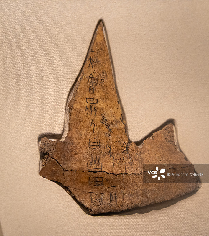 中国国家博物馆展品商代 众人协田牛骨刻辞 河南省安阳市出土图片素材